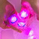 Sesame Street - Characters