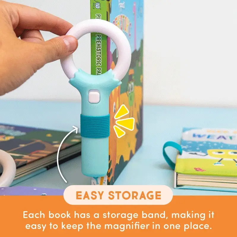 Light-Up Library™ — Princess Ida and Her Magic Missing Wand