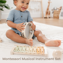 Musical Toy Instrument 