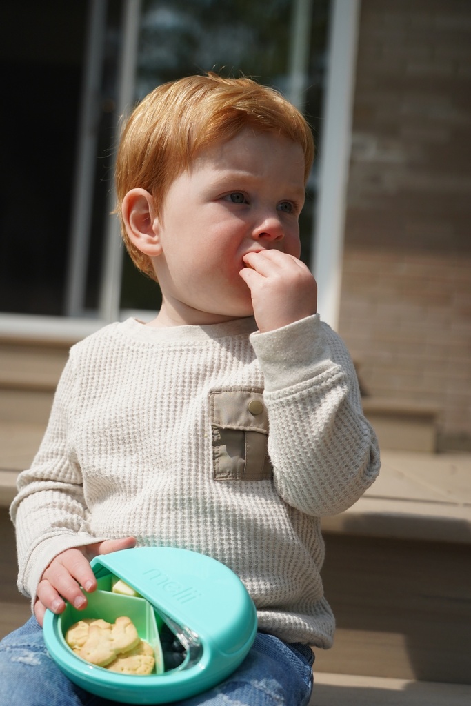 Spin Container - Blue & Mint