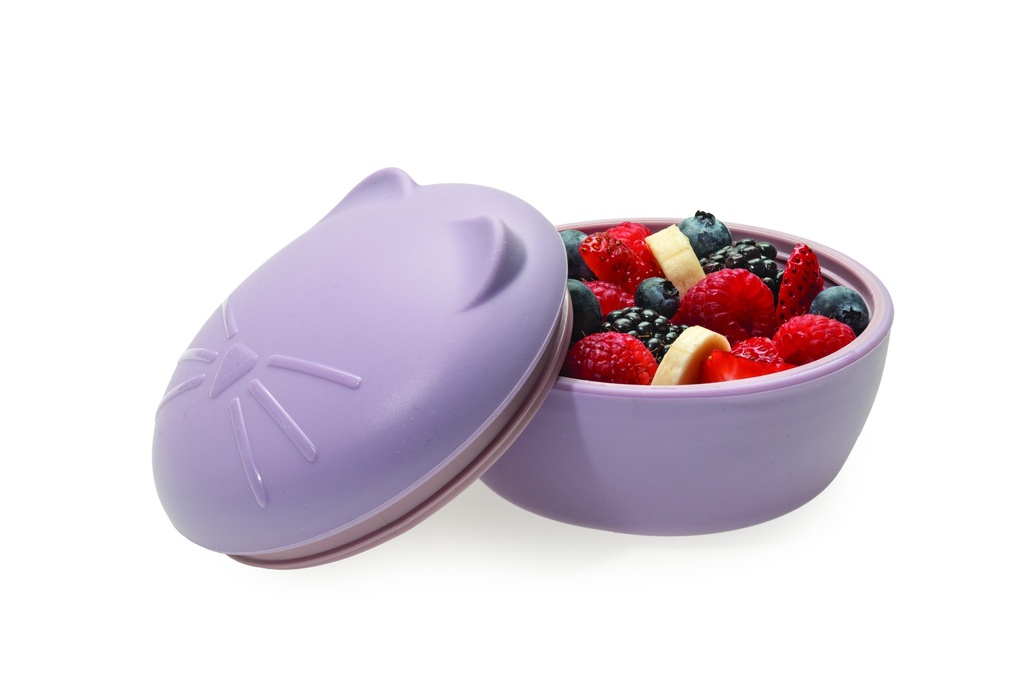 Silicone Bowl with Lid, Spoon and Fork 