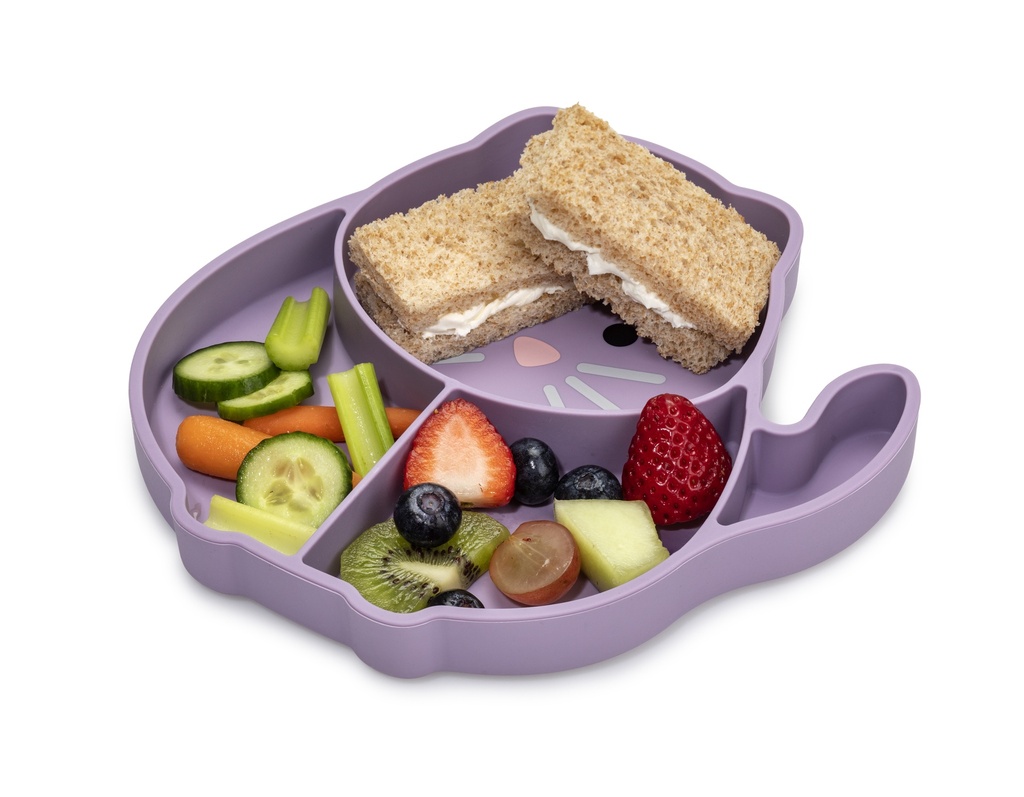 Silicone Suction Plate 