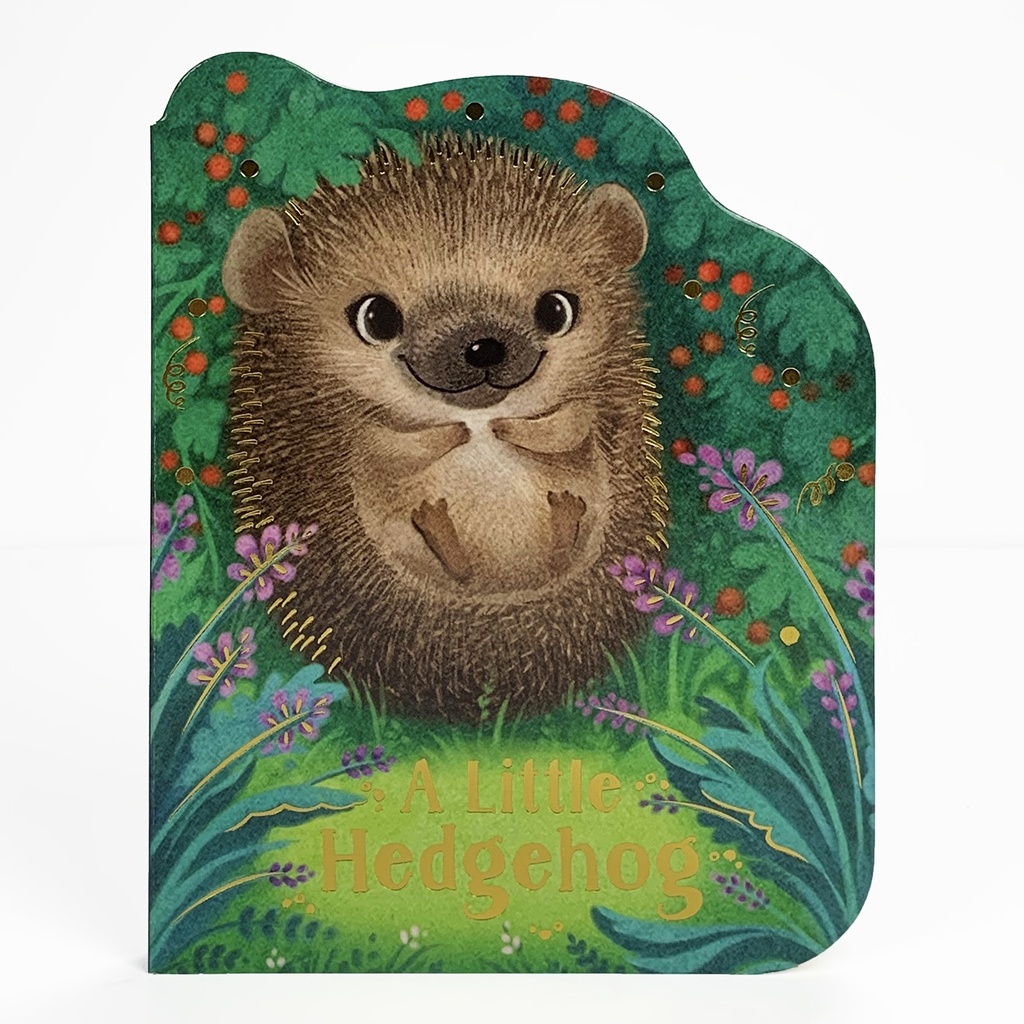 Libro Sensorial Infantil — A Little Hedgehog